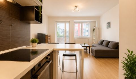 Sale One bedroom apartment, One bedroom apartment, Nad Plážou, Banská 