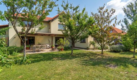 Sale Family house, Family house, Nové Košariská, Senec, Slovakia