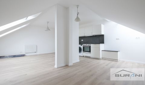 Rent One bedroom apartment, One bedroom apartment, Sládkovičova, Brati
