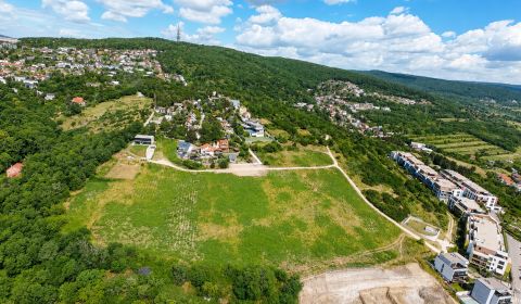 Sale Land – for living, Land – for living, Frankovská, Bratislava - No