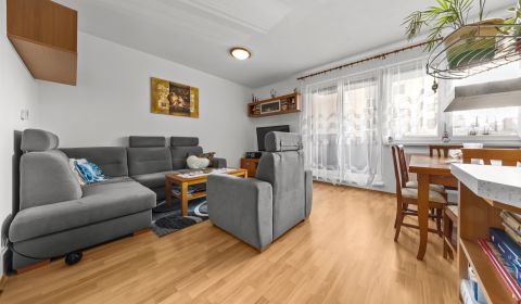 Sale Three bedroom apartment, Three bedroom apartment, Nejedlého, Brat