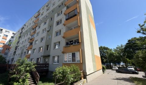 Sale Studio, Studio, Dudvážska, Bratislava - Podunajské Biskupice, Slo