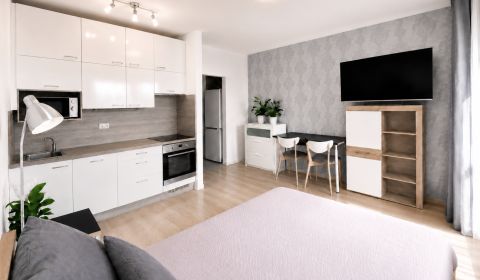 Sale Single studio, Single studio, Krásnohorská, Bratislava - Petržalk