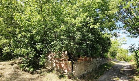 Sale Land – for living, Land – for living, Levice, Slovakia