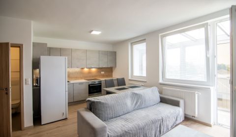 Rent One bedroom apartment, One bedroom apartment, Svätoplukova, Pezin