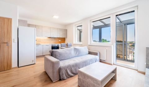 Rent One bedroom apartment, One bedroom apartment, Svätoplukova, Pezin