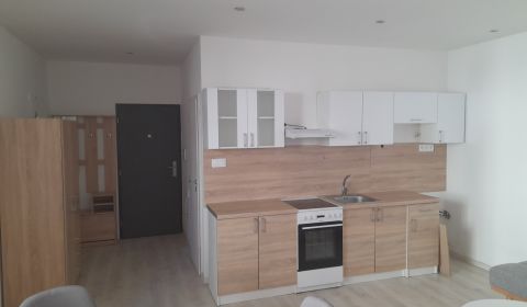 Rent One bedroom apartment, One bedroom apartment, Kasárenská, Nové Zá