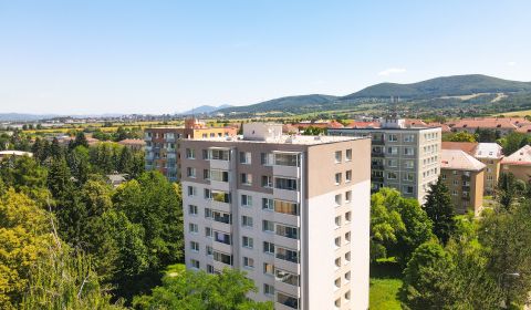 Sale Two bedroom apartment, Two bedroom apartment, Trenčianska, Ilava,