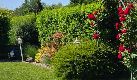 Sale Gardens, Gardens, Galanta, Galanta, Slovakia