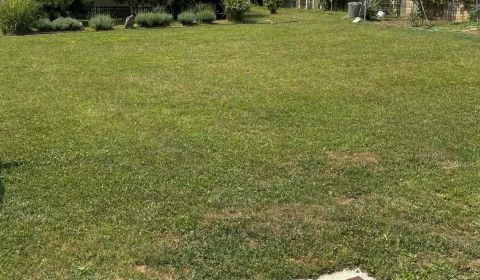 Sale Land – for living, Land – for living, Michalovce, Slovakia