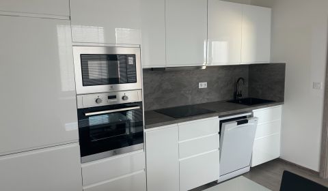 Rent One bedroom apartment, One bedroom apartment, Šamorínska, Dunajsk