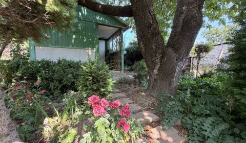 Sale Cottage, Cottage, Šaľa, Slovakia