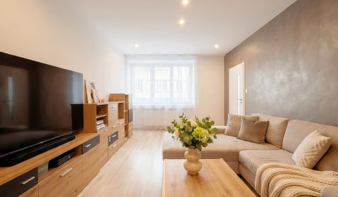 Rent One bedroom apartment, One bedroom apartment, M.R. Štefánika , Ži