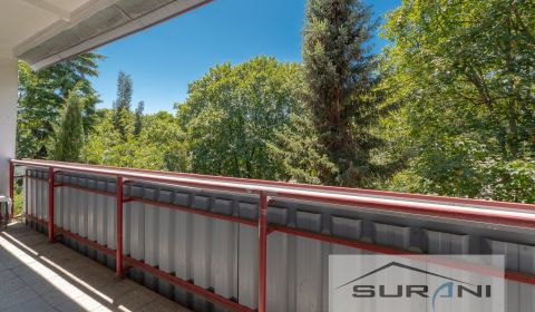 Sale Three bedroom apartment, Three bedroom apartment, Bullova, Bratis