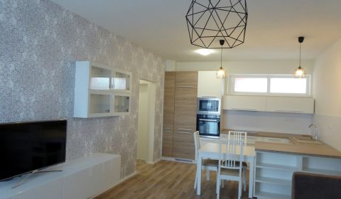 Rent One bedroom apartment, One bedroom apartment, Nad Plážou, Banská 