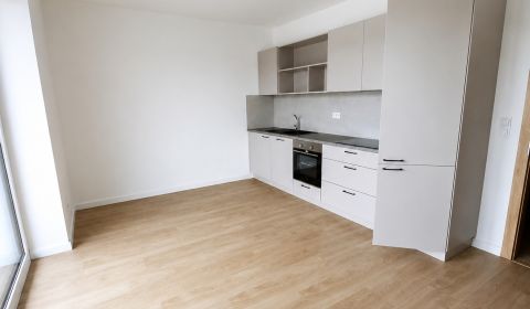 Rent One bedroom apartment, One bedroom apartment, Letná, Stará Ľubovň