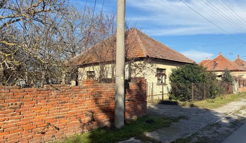 Sale Family house, Family house, Topoľčany, Slovakia
