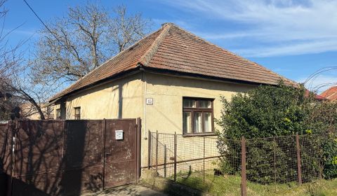 Sale Family house, Family house, Topoľčany, Slovakia