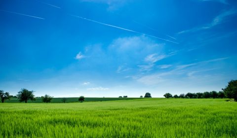 Sale Land – for living, Land – for living, Nové Zámky, Slovakia