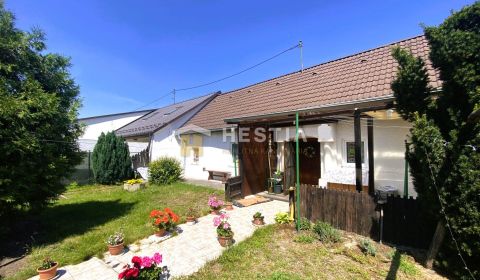 Sale Family house, Family house, Senica, Slovakia