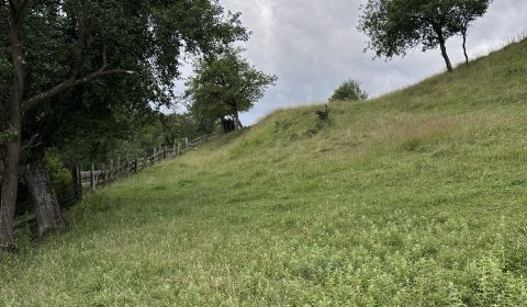 Sale Agrarian and forest land, Agrarian and forest land, Kysucké Nové 