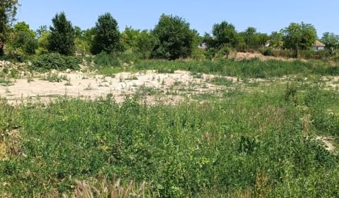 Sale Land – for living, Land – for living, Nové Zámky, Slovakia