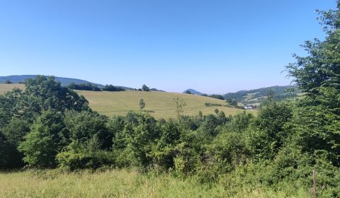Sale Agrarian and forest land, Agrarian and forest land, Kysucké Nové 