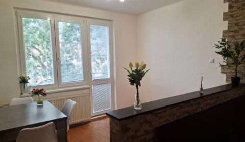 Rent Two bedroom apartment, Two bedroom apartment, Novomestská, Nové Z