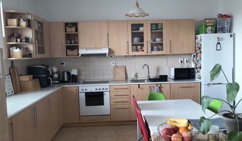 Rent One bedroom apartment, One bedroom apartment, Tomášikova, Bratisl