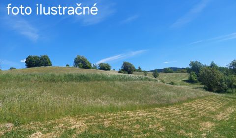 Sale Land – for living, Land – for living, Detva, Slovakia