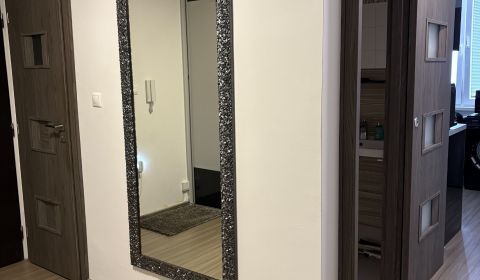 Sale One bedroom apartment, One bedroom apartment, Šafárikova, Nové Zá