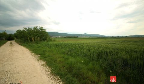 Sale Land – for living, Nitra, Slovakia