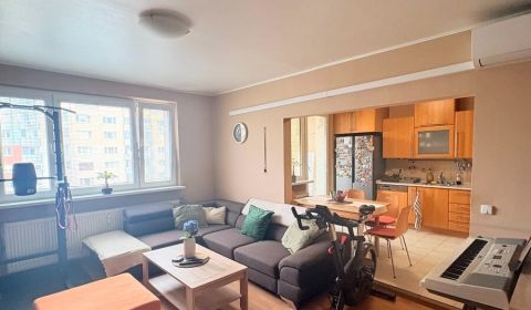 Sale Three bedroom apartment, Three bedroom apartment, Matejkova, Brat
