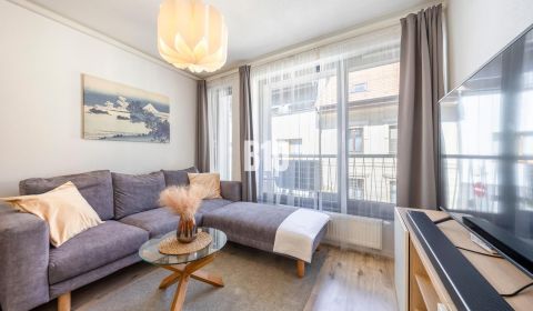 Sale One bedroom apartment, One bedroom apartment, Ľadová, Bratislava 