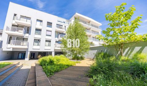 Sale One bedroom apartment, One bedroom apartment, Ľadová, Bratislava 