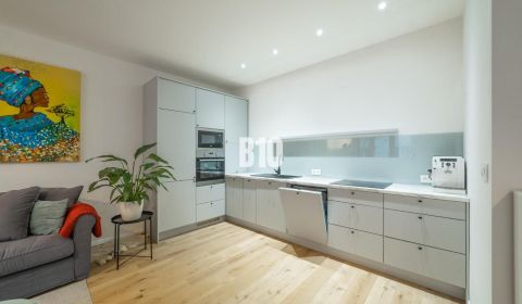 Rent One bedroom apartment, One bedroom apartment, Bratislava II, Slov