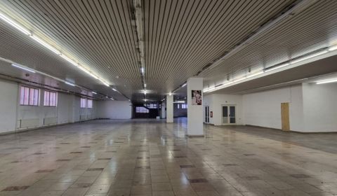 Rent Commercial premises, Commercial premises, Štefánikova trieda, Nit