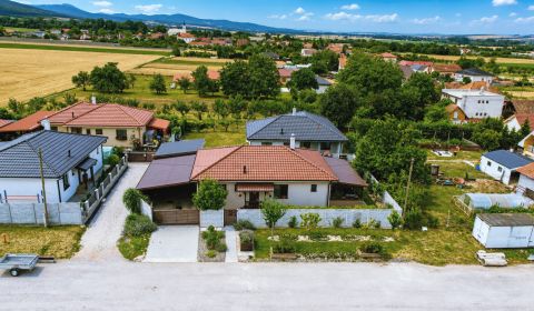Modern Family Home with Pool in Peaceful Oponice