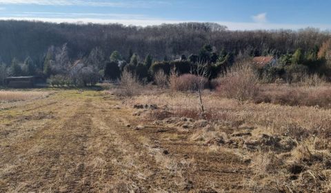 Sale Land – for living, Land – for living, Pod brezami, Nitra, Slovaki