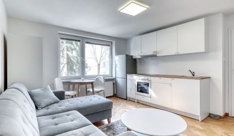 Rent One bedroom apartment, One bedroom apartment, Špačinská cesta, Tr