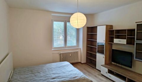 Rent Studio, Studio, Miletičova, Bratislava - Ružinov, Slovakia