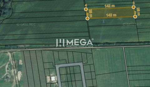 Sale Agrarian and forest land, Agrarian and forest land, Lackovce, Hum