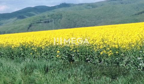 Sale Agrarian and forest land, Agrarian and forest land, Kamenica, Hum