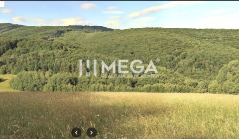 Sale Agrarian and forest land, Agrarian and forest land, Humenné, Slov