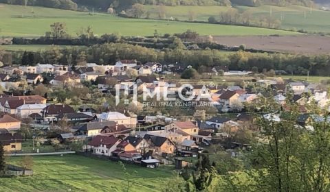 Sale Agrarian and forest land, Agrarian and forest land, Humenné, Slov
