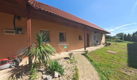Sale Family house, Family house, Nové Sady, Nitra, Slovakia
