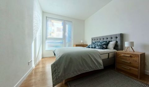 Rent Two bedroom apartment, Two bedroom apartment, Pivovarská, Nitra, 
