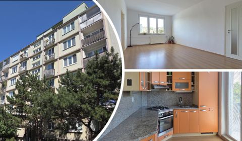 Sale One bedroom apartment, One bedroom apartment, Sibírska, Bratislav