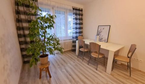 Rent One bedroom apartment, One bedroom apartment, Dobrianskeho, Humen