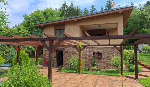Sale Family house, Family house, Partizánske, Slovakia